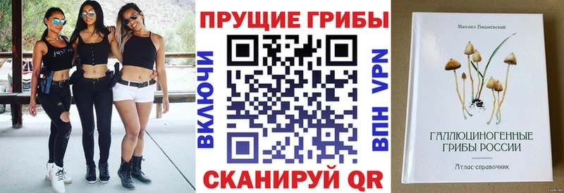 Купить где  Чудово  Псилоцибиновые грибы прущие грибы 